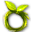 Summer Ring.png