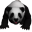 Panda Bear.png