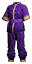 Purple Dragon Outfit.png