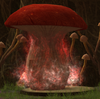 Red Porcini Mushroom.png